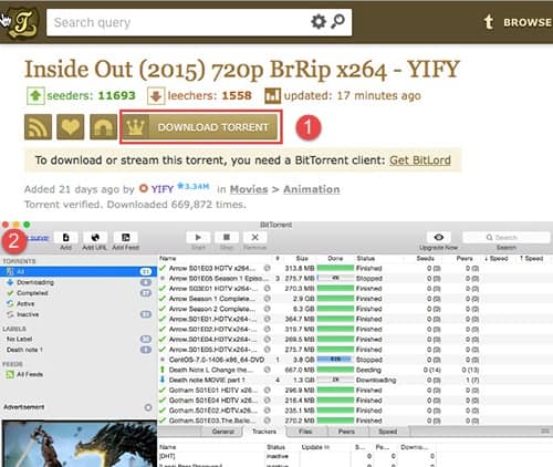 Torrent installer free download